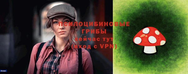 mix Козельск