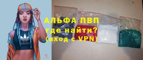 ПСИЛОЦИБИНОВЫЕ ГРИБЫ Козловка