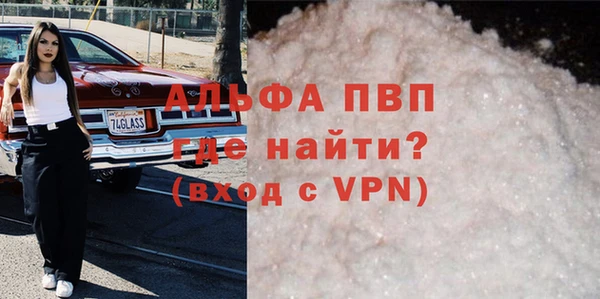 ПСИЛОЦИБИНОВЫЕ ГРИБЫ Козловка
