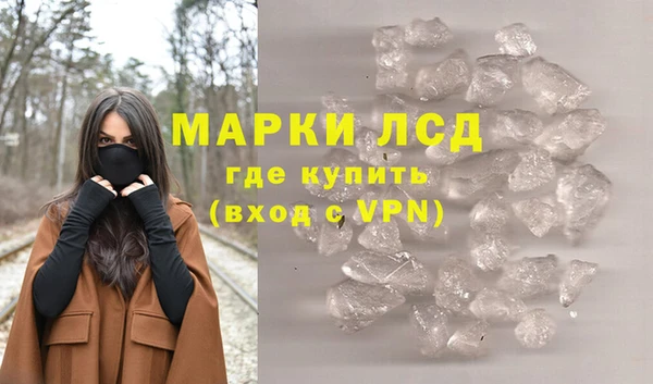 ПСИЛОЦИБИНОВЫЕ ГРИБЫ Козловка