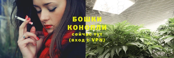 mix Козельск