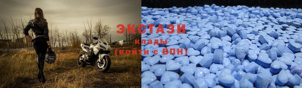 ПСИЛОЦИБИНОВЫЕ ГРИБЫ Козловка