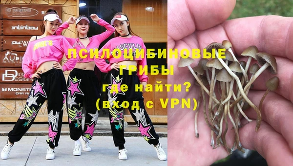 mix Козельск